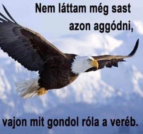 #VK1773482450