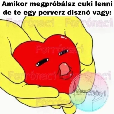 #VK1773499206