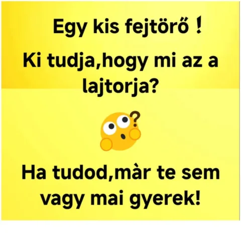 #VK1773538552