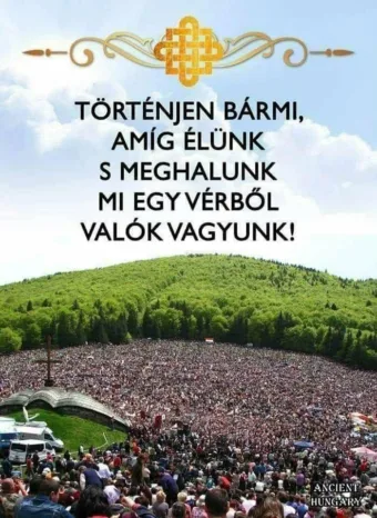 #VK1773575982 #VK1773575982