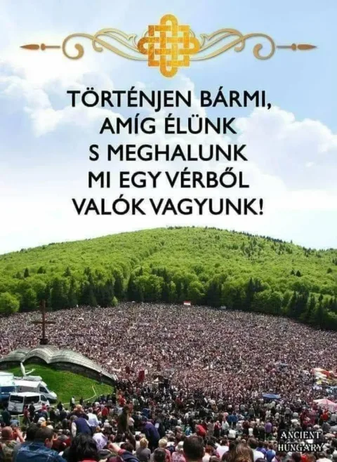 #VK1773575982
