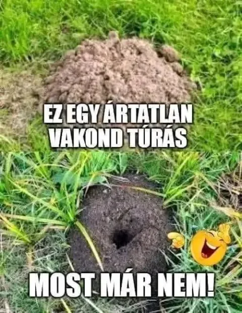 #VK1773651612