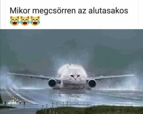 #VK1773670900
