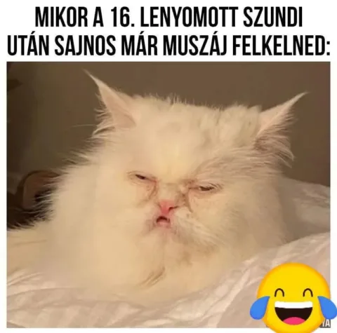 #VK1773811765