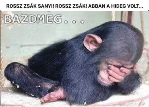 #VK1773896952