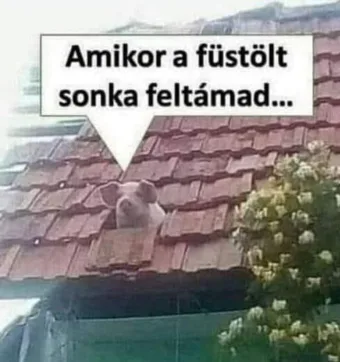 #VK1774003778 #VK1774003778