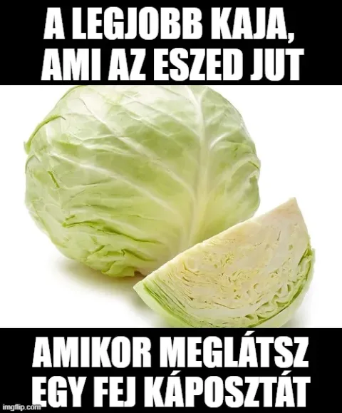 #VK1774214728