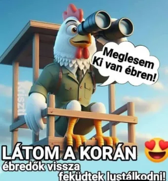 #VK1774243373