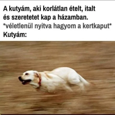 #VK1774291754