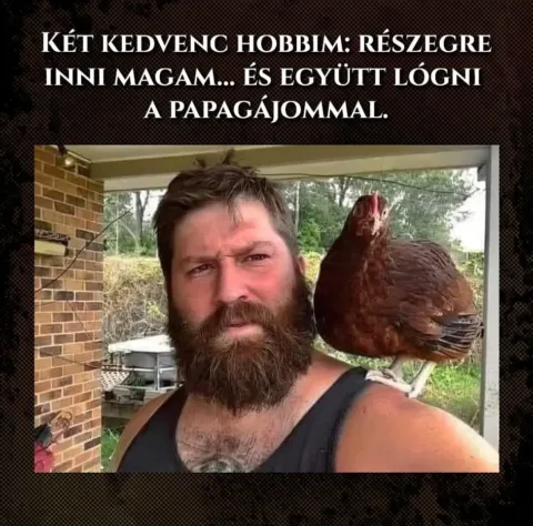 #VK1774368845