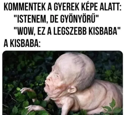 #VK1774423584
