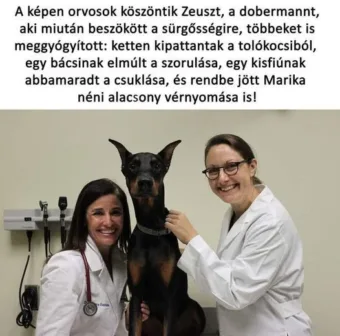 #VK1774449956 #VK1774449956