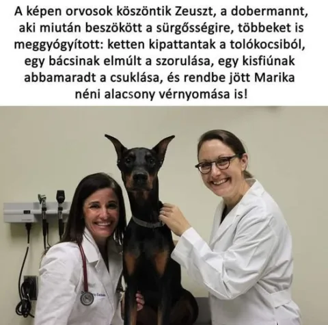 #VK1774449956