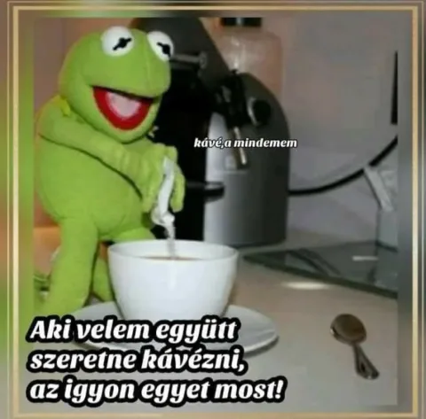 #VK1774594895