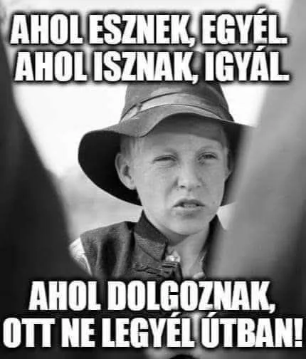 #VK1774678350 #VK1774678350