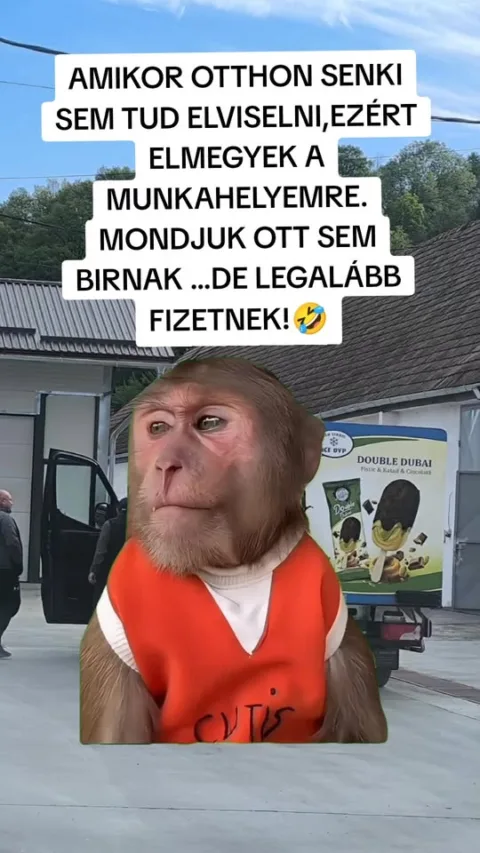 #VK1774815770