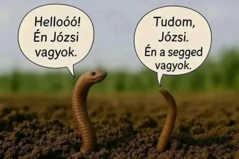#VK1774866171