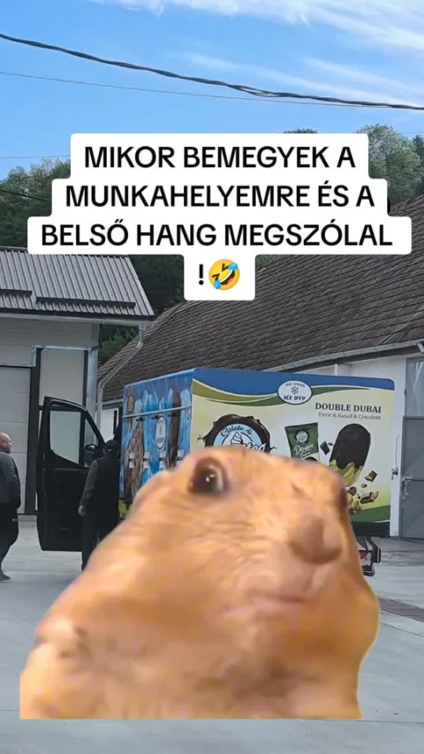 #VK1774932704