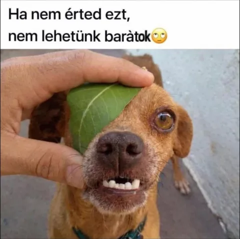 #VK1774938149