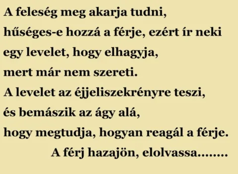 Vicc: A feleség meg akarja tudni, hűséges-e hozzá a férje, ezért ír neki egy…