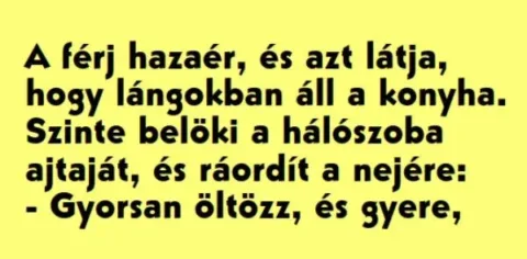Vicc: A férj hazaér, és azt látja, hogy lángokban áll a konyha. -…