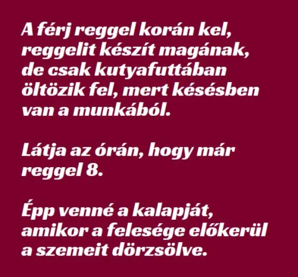 Vicc: A férj reggel korán kel, reggelit készít magának, de Vicc: A férj reggel korán kel, reggelit készít magának, de csak…