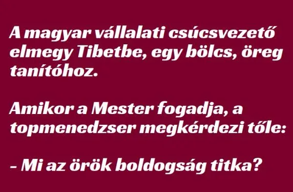 Vicc: A magyar vállalati csúcsvezető elmegy Tibetbe, egy bölcs, öreg... Vicc: A magyar vállalati csúcsvezető elmegy Tibetbe, egy bölcs, öreg…