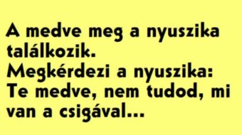 Vicc: A nyuszika és a medve beszélget –