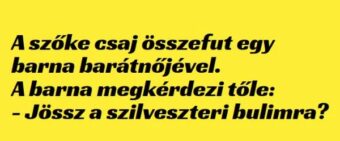 Vicc: A szőke csaj összefut egy barna barátnőjével. –
