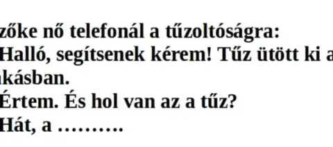 Vicc: A szöszi felhívja a tűzoltóságot –
