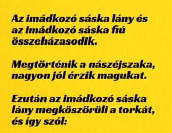 Vicc: Az imádkozó sáska lány és az imádkozó sáska fiú Vicc: Az imádkozó sáska lány és az imádkozó sáska fiú összeházasodik….