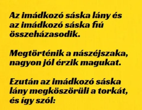 Vicc: Az imádkozó sáska lány és az imádkozó sáska fiú összeházasodik….