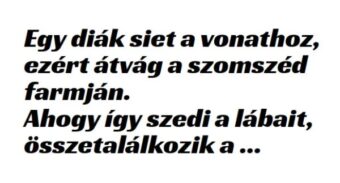 Vicc: Egy diák siet a vonathoz, ezért átvág a szomszéd Vicc: Egy diák siet a vonathoz, ezért átvág a szomszéd farmján -…