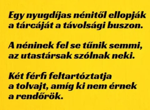 Vicc: Egy nyugdíjas nénitől ellopják a tárcáját a távolsági buszon. -…