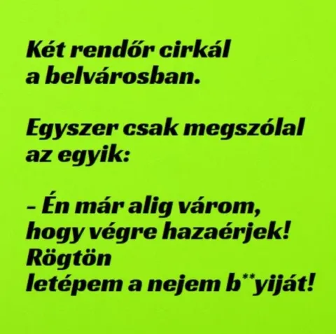 Vicc: Két rendőr cirkál a belvárosban –