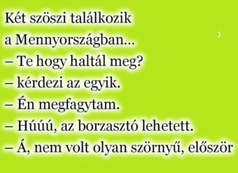 Vicc: Két szöszi találkozik a Mennyországban…