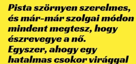 Vicc: Pista szörnyen szerelmes, és már-már –
