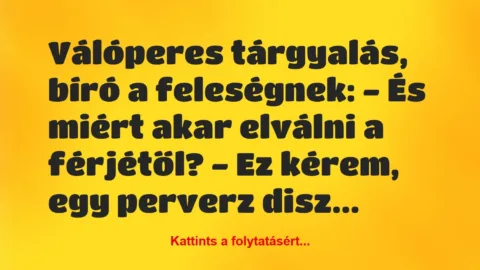 Vicc: Válóperes tárgyalás, bíró a feleségnek: – És miért akar elválni…