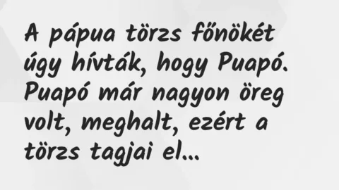 A pápua törzs főnökét úgy hívták, hogy Puapó. Puapó már nagyon öreg… – Vicc A pápua törzs főnökét úgy hívták, hogy Puapó. Puapó már nagyon öreg… – Vicc