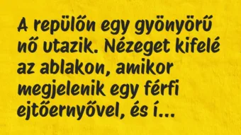 A repülőn egy gyönyörű nő utazik. Nézeget kifelé az ablakon, amikor… – Vicc