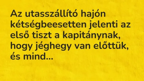 Az utasszállító hajón kétségbeesetten jelenti az első tiszt a kapitány… – Vicc Az utasszállító hajón kétségbeesetten jelenti az első tiszt a kapitány… – Vicc