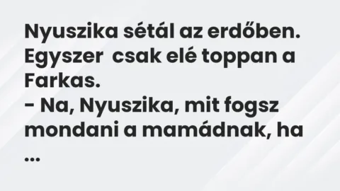 Nyuszika sétál az erdőben. Egyszer    csak elé toppan a Farkas.

-… – Vicc