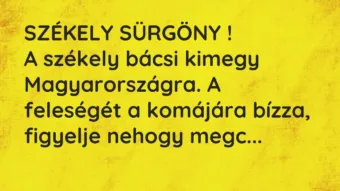SZÉKELY SÜRGÖNY !
A székely bácsi kimegy Magyarországra. A… – Vicc SZÉKELY SÜRGÖNY !
A székely bácsi kimegy Magyarországra. A… – Vicc