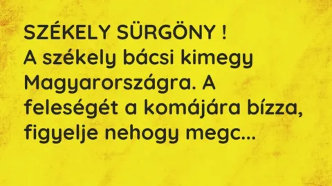 SZÉKELY SÜRGÖNY !

A székely bácsi kimegy Magyarországra. A… – Vicc