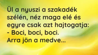 Ül a nyuszi a szakadék szélén, néz maga elé és egyre csak azt… – Vicc Ül a nyuszi a szakadék szélén, néz maga elé és egyre csak azt… – Vicc
