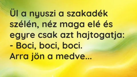 Ül a nyuszi a szakadék szélén, néz maga elé és egyre csak azt… – Vicc