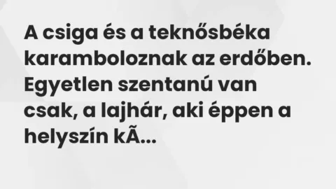 Vicc: A csiga és a teknősbéka karamboloznak az erdőben.

Egyetlen…