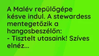 Vicc: A Malév repülőgépe késve indul. A stewardess mentegetőzik a…
