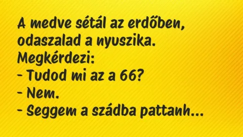 Vicc: A medve sétál az erdőben, odaszalad a nyuszika. Megkérdezi:

-…