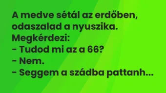 Vicc: A medve sétál az erdőben, odaszalad a nyuszika. Megkérdezi:

-…